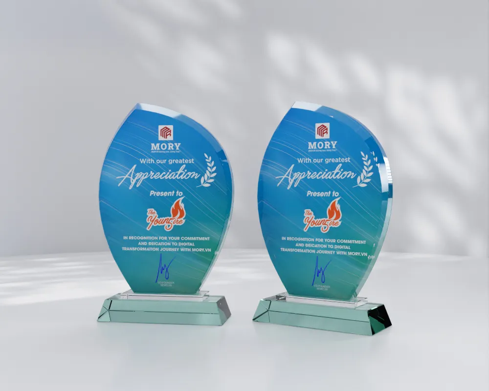 Kỷ niệm chương thủy tinh TT15