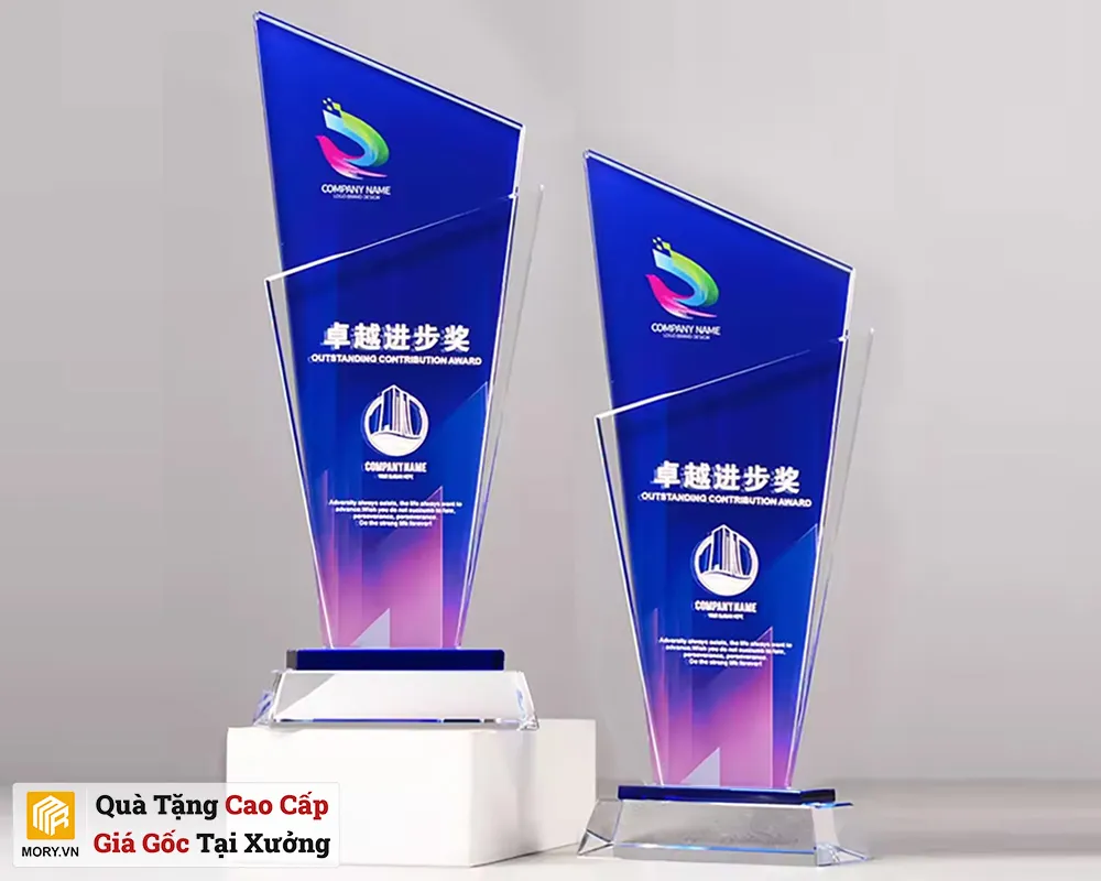 Kỷ niệm chương pha lê PL45