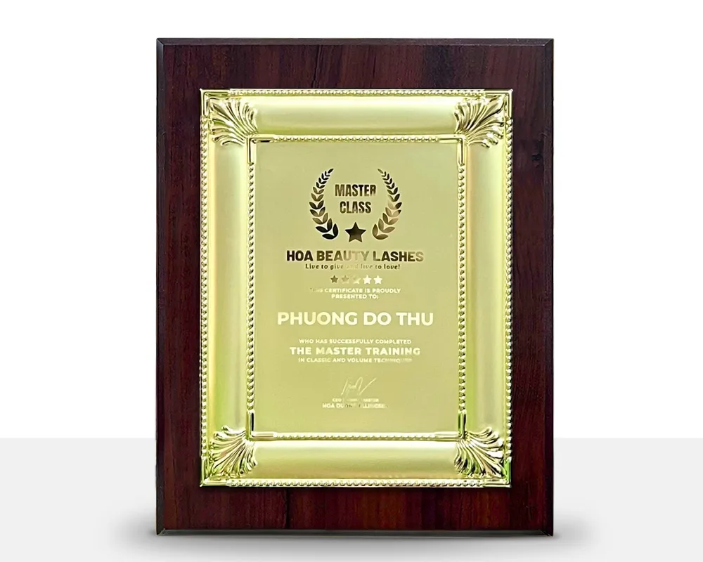 Kỷ niệm chương gỗ đồng 28