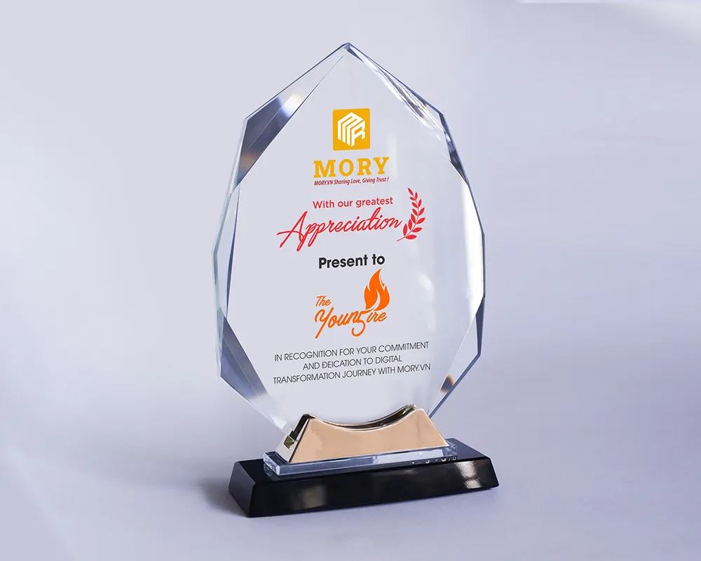 Kỷ niệm chương pha lê PL68