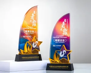 Kỷ niệm chương pha lê PL92